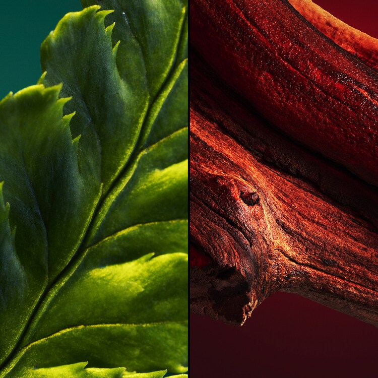 Les Légendaires L'Initial - Eau de Parfum