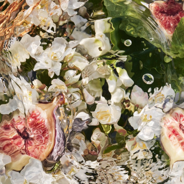 Aqua Allegoria - Nerolia Vetiver - Eau De Toilette