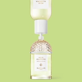 Aqua Allegoria Nerolia Vetiver - Eau de Toilette