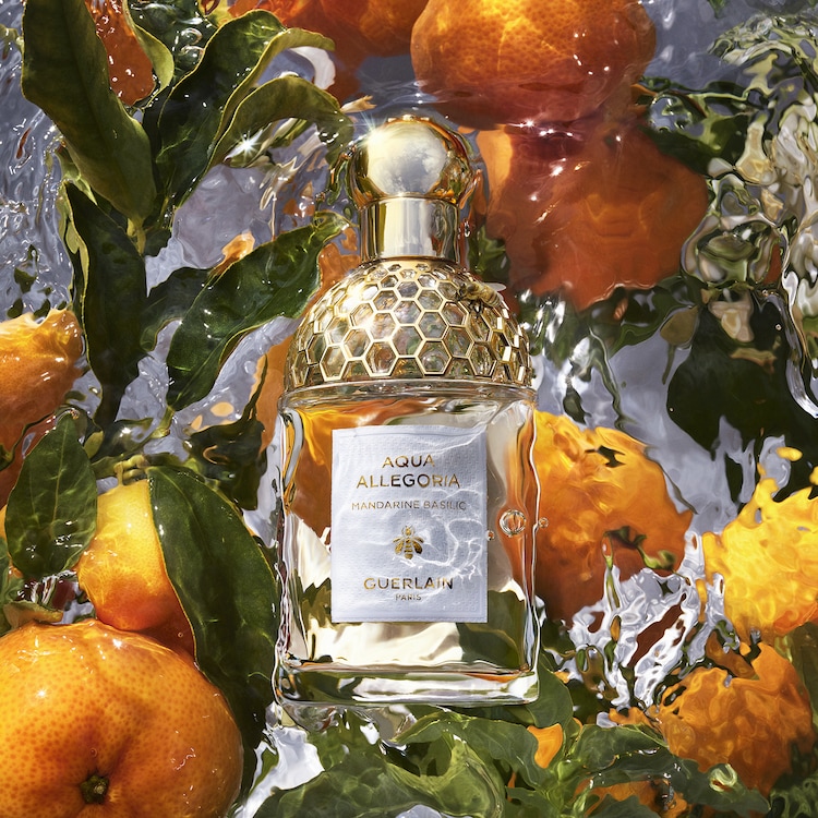Aqua Allegoria Mandarine Basilic - Eau de Toilette