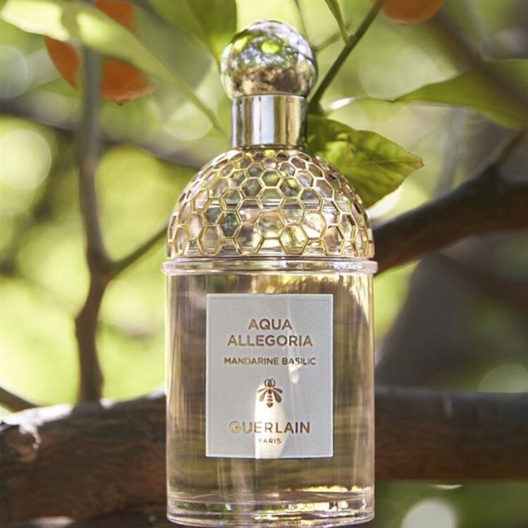 Aqua Allegoria Mandarine Basilic - Eau de Toilette