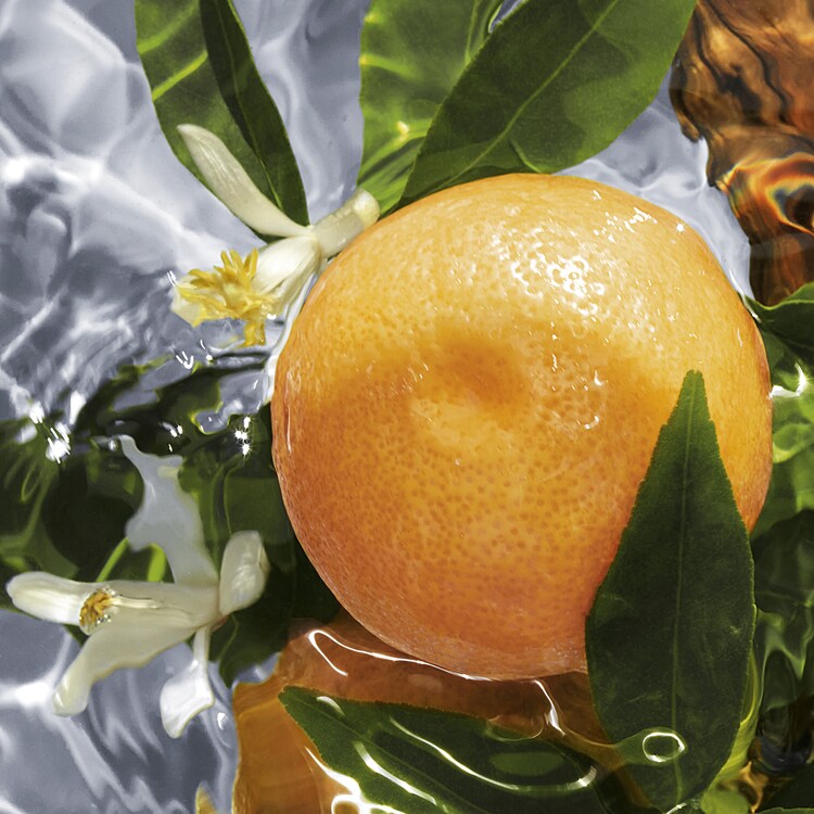 Aqua Allegoria Pamplelune - Eau de Toilette