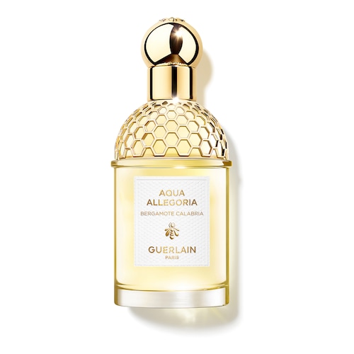 Découvrir le produit