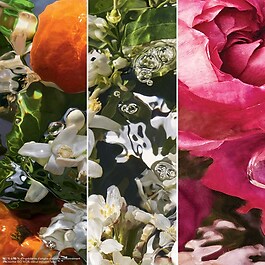 Aqua Allegoria Rosa Rossa - Eau de Toilette