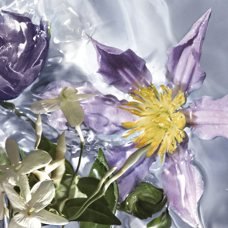 Aqua Allegoria Flora Salvaggia - Eau de Toilette