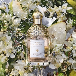 Aqua Allegoria Pera Granita - Eau de Toilette