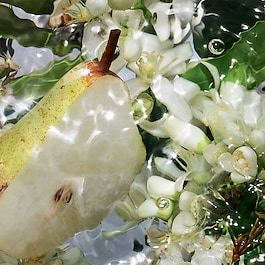 Aqua Allegoria Pera Granita - Eau de Toilette