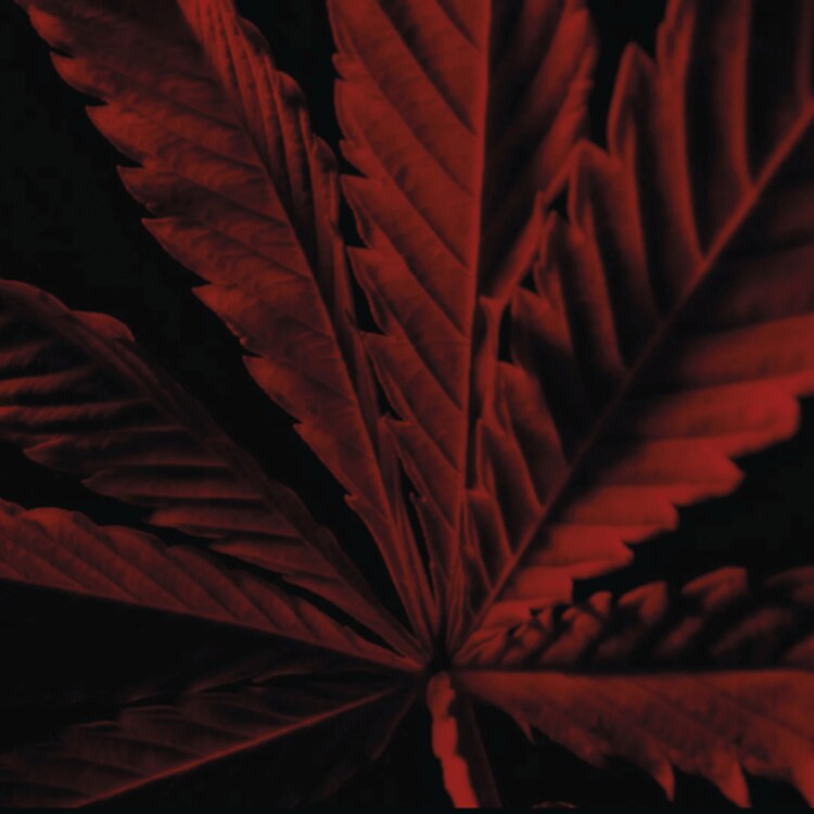 Habit Rouge - L'Instinct - Eau De Toilette Intense