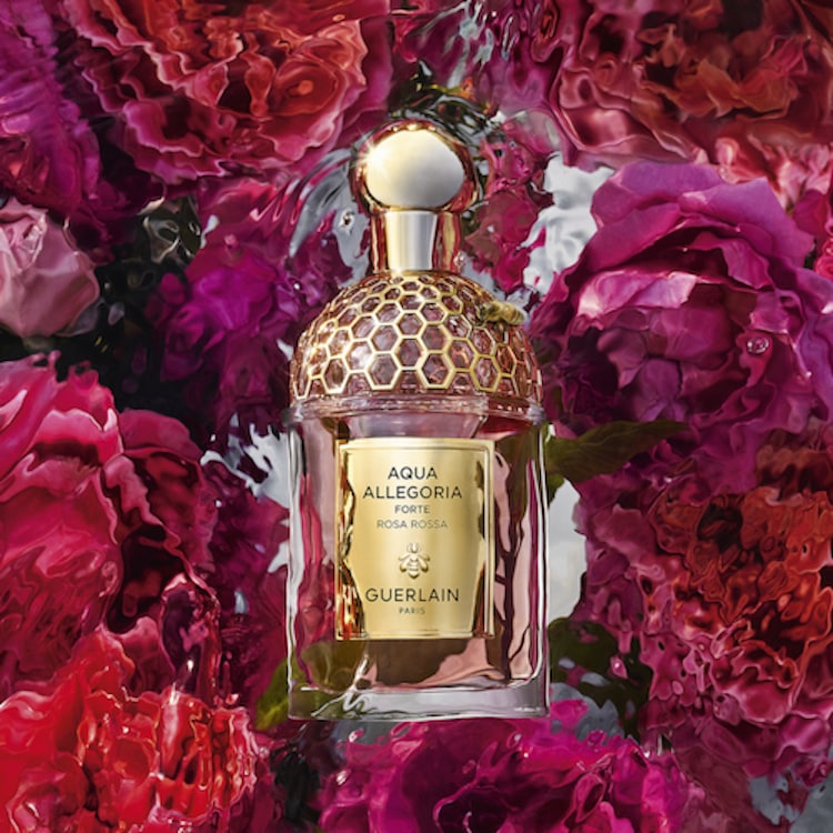 Aqua Allegoria - Rosa Rossa Forte - Eau De Parfum