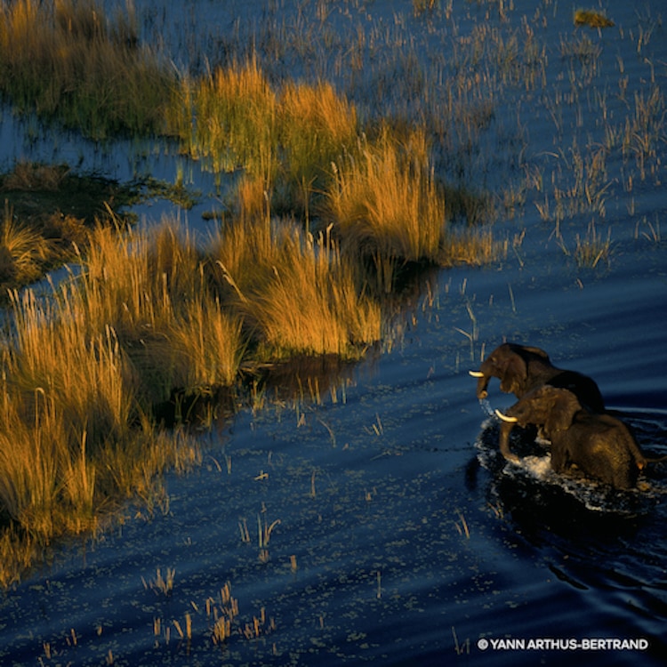 Aqua Allegoria - Rosa Rossa Forte - Eau De Parfum