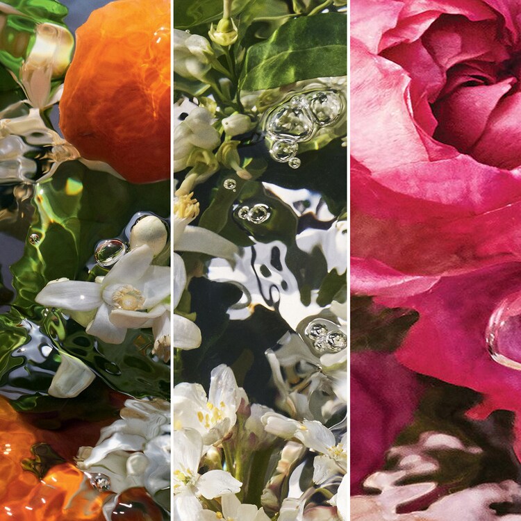 Aqua Allegoria - Mandarine Basilic Forte - Eau De Parfum