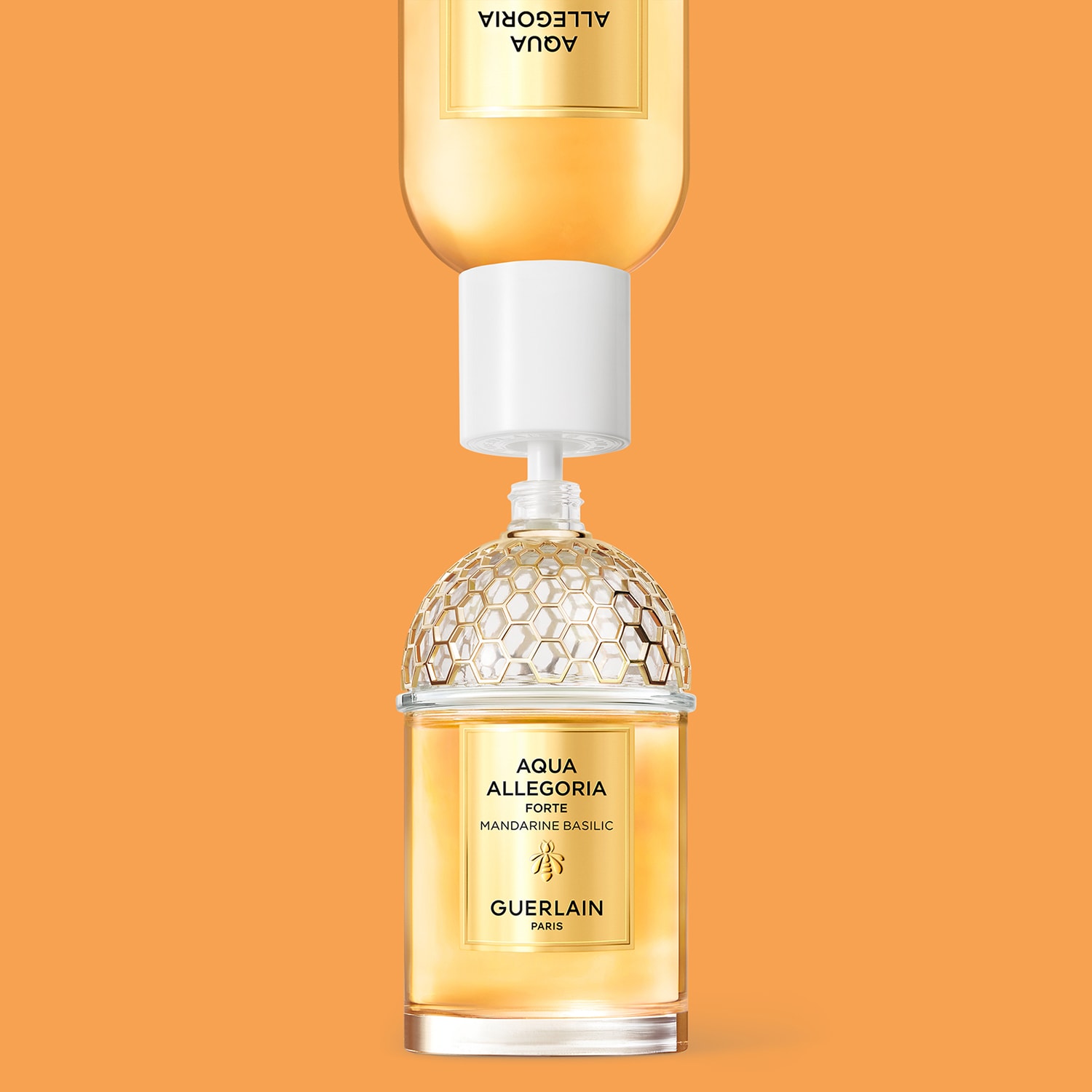 Aqua Allegoria Forte Mandarine Basilic - Eau de Parfum ❘ Guerlain