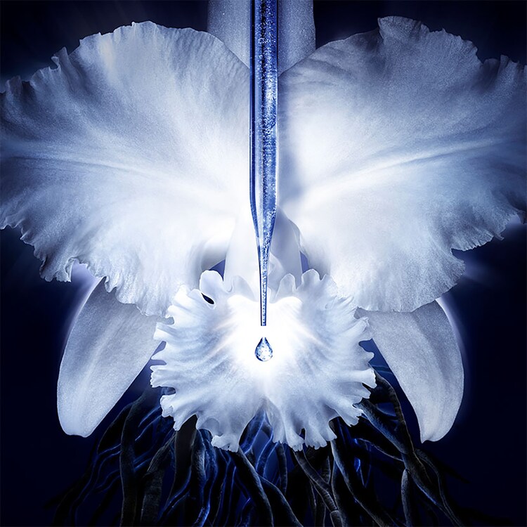 Orchidée Impériale - Concentrado de Longevidad