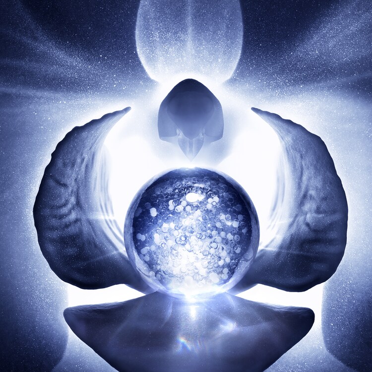 Orchidée Impériale - Le Concentré Micro-Lift