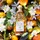 Aqua Allegoria Harvest Mandarine Basilic - Toaletní voda