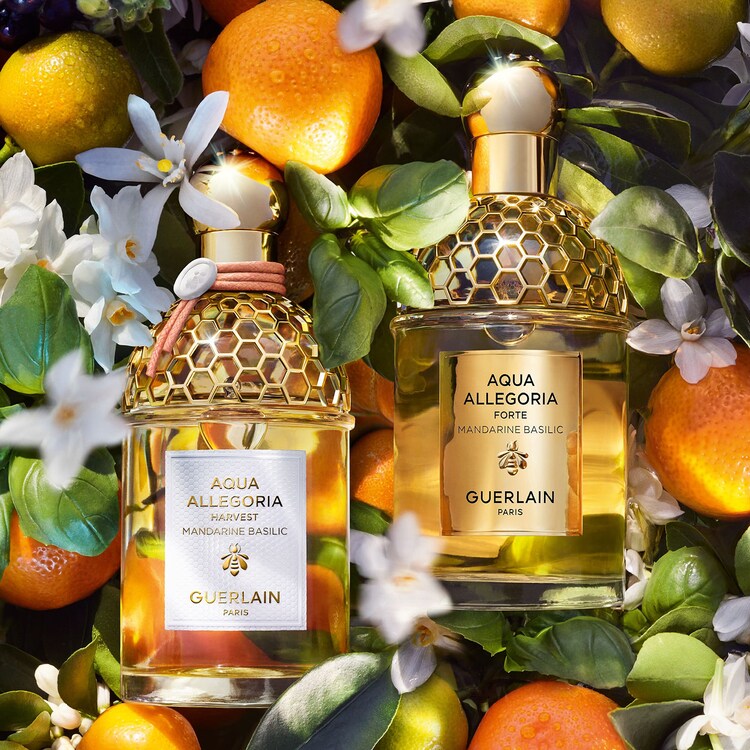 Aqua Allegoria Harvest Mandarine Basilic - Toaletní voda