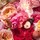 Aqua Allegoria Harvest Rosa Rossa - Woda Toaletowa