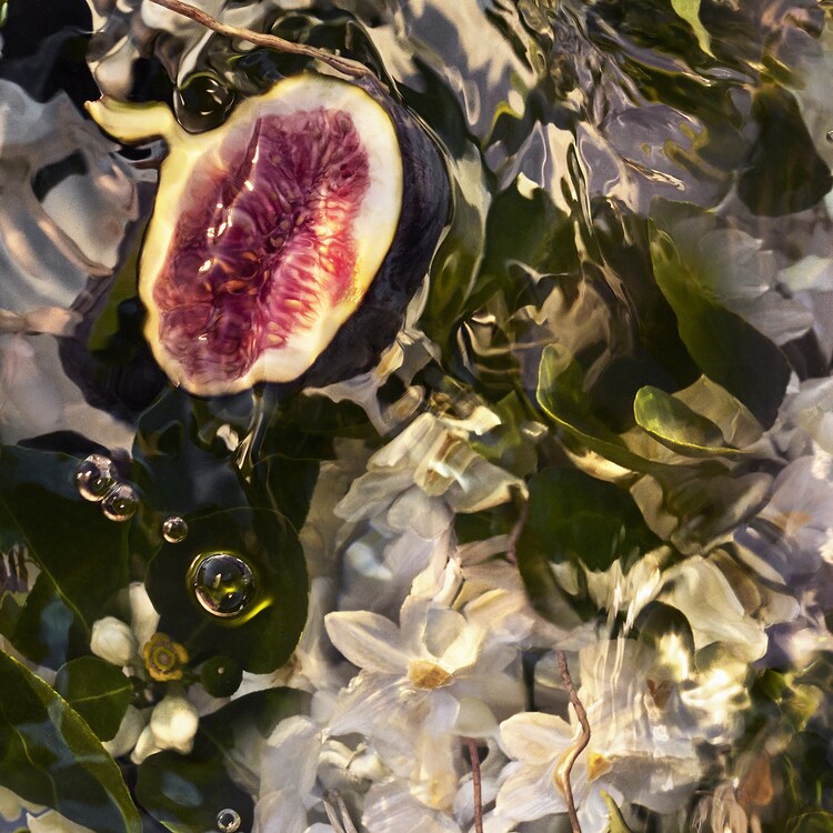 Aqua Allegoria Forte - Nerolia Vetiver - Eau De Parfum