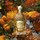 Aqua Allegoria Mandarine Basilic - Dárková sada