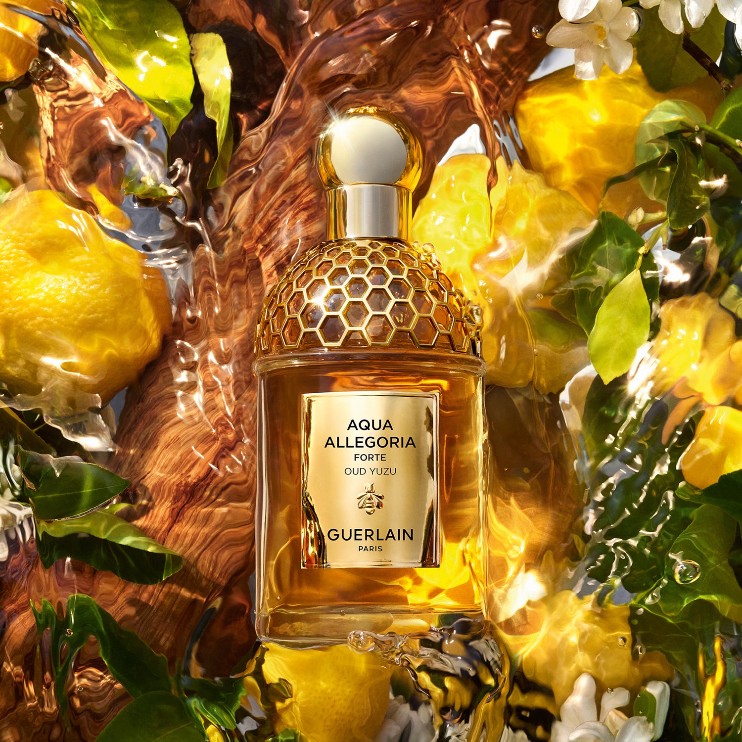 GUERLAIN 香水 Aqua Allegoria Forte Oud Yuzu - Woda perfumowana i GUERLAIN ≡ SEPHORA
