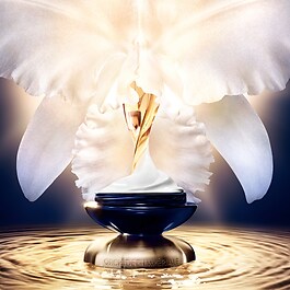 Orchidée Impériale Reichhaltige Creme