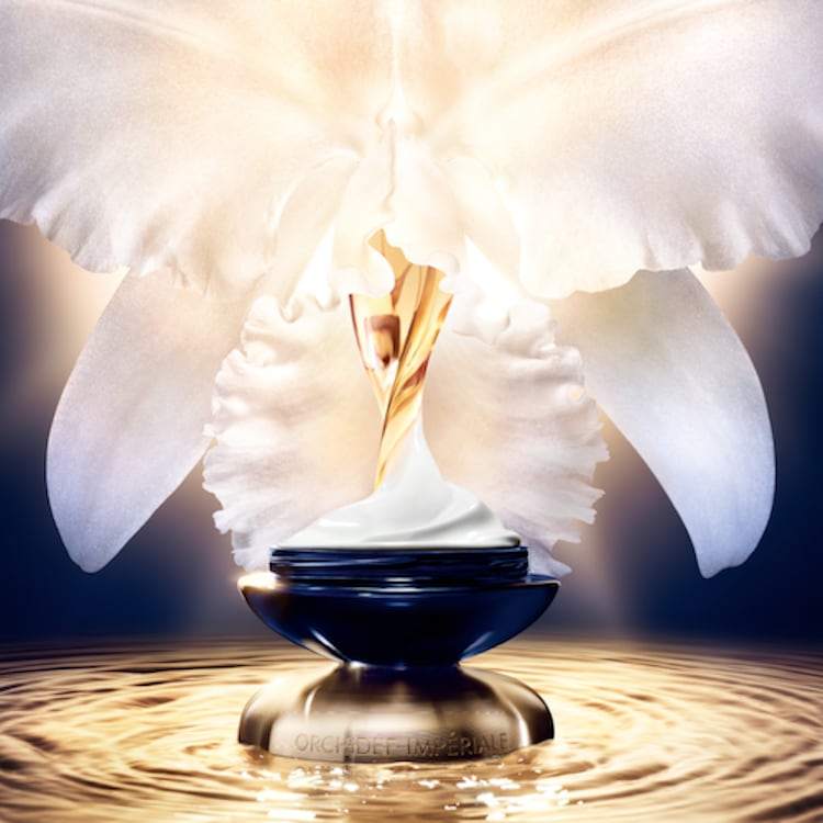 Orchidée Impériale - La Crème Riche