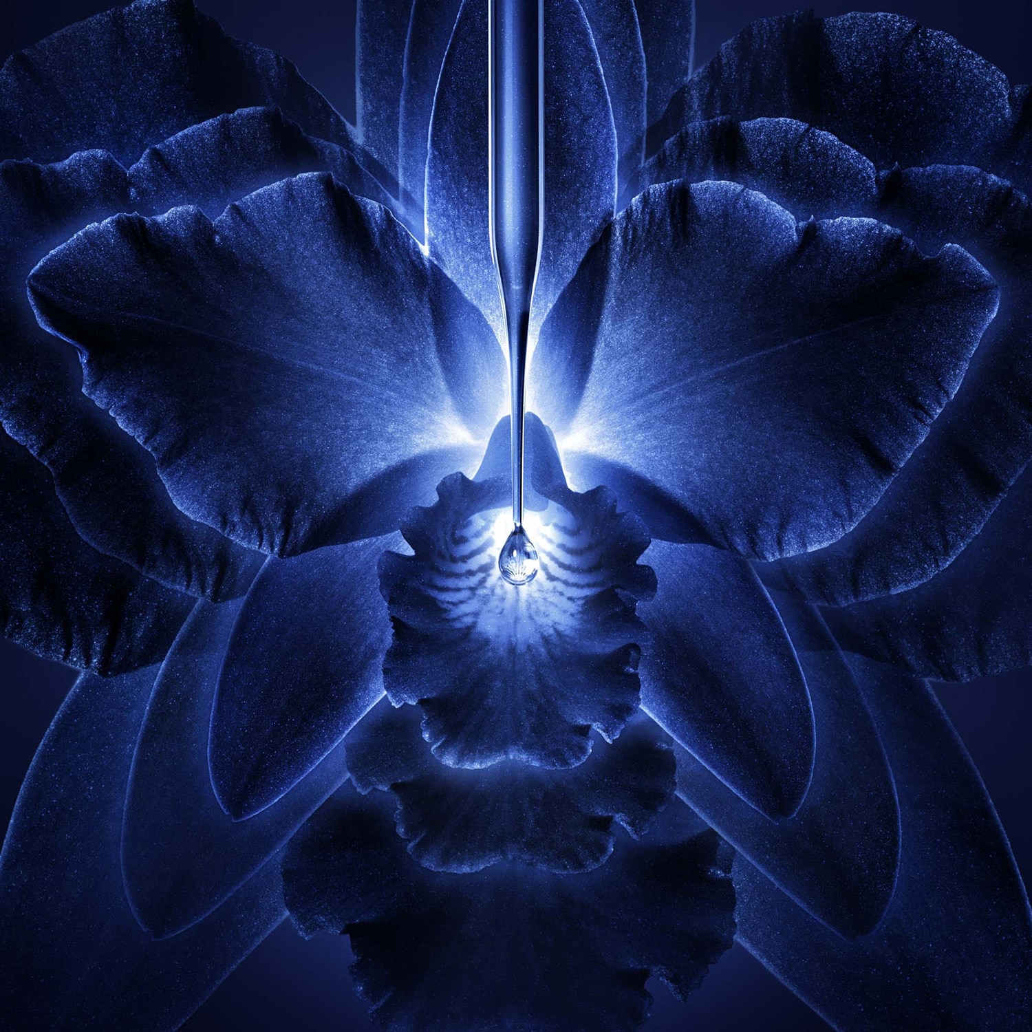 Orchidée Impériale - La Crème Riche de GUERLAIN ≡ SEPHORA