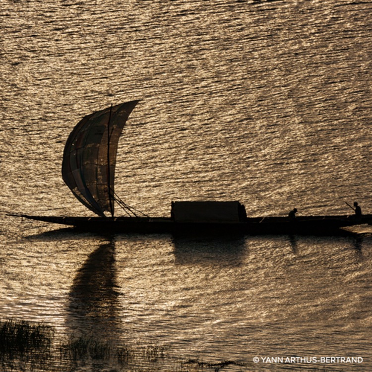 Absolus Allegoria - Santal Royal - Eau de Parfum