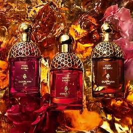 Absolus Allegoria - Santal Royal - Eau de Parfum
