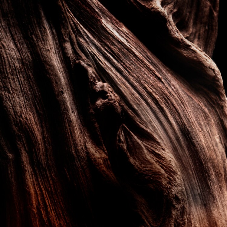 Absolus Allegoria - Oud Essentiel - Eau de Parfum