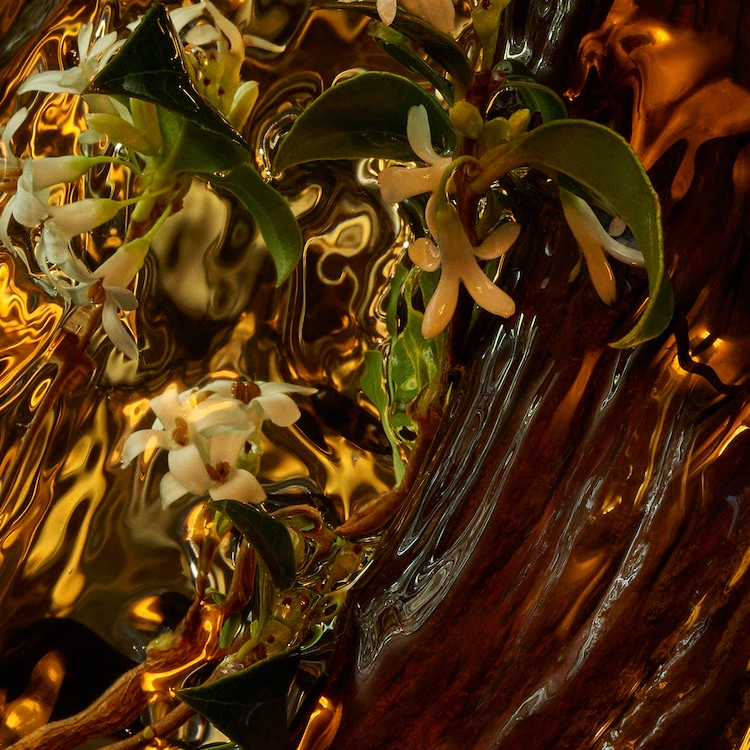 Absolus Allegoria - Cuir Intense Eau de Parfum