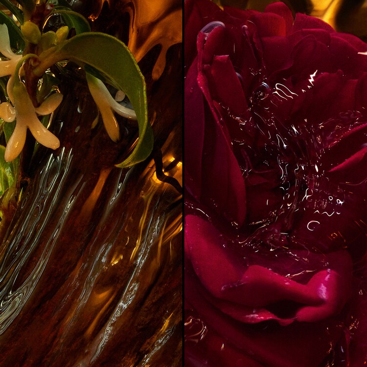 Absolus Allegoria - Cuir Intense Eau de Parfum