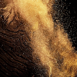 Absolus Allegoria - Epices Exquises Eau de Parfum