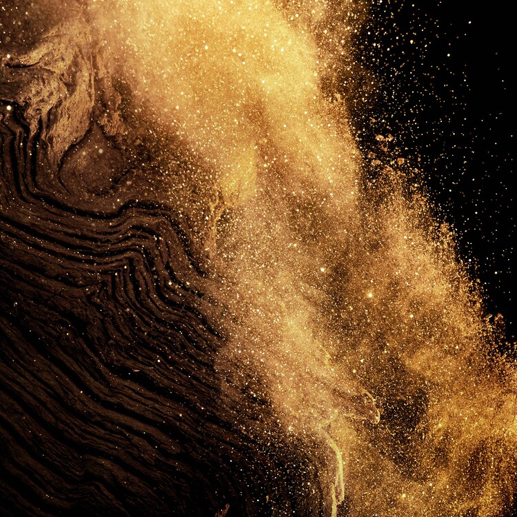 Absolus Allegoria Epices Exquises - Eau de Parfum