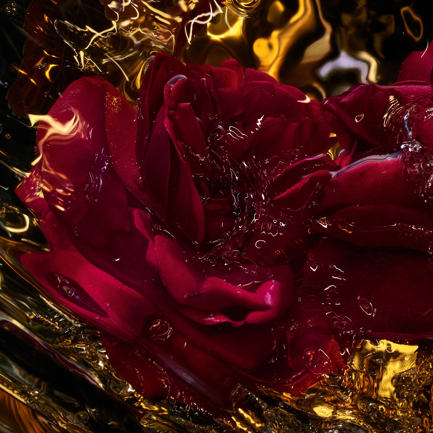 Absolus Allegoria Rose Amira - Eau de Parfum | Guerlain ≡ SEPHORA