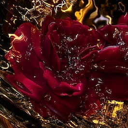 Absolus Allegoria - Rose Amira - Eau de Parfum