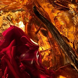 Absolus Allegoria Amber Samara - Eau de Parfum