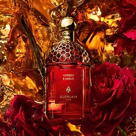 Absolus Allegoria Amber Samara - Eau de Parfum
