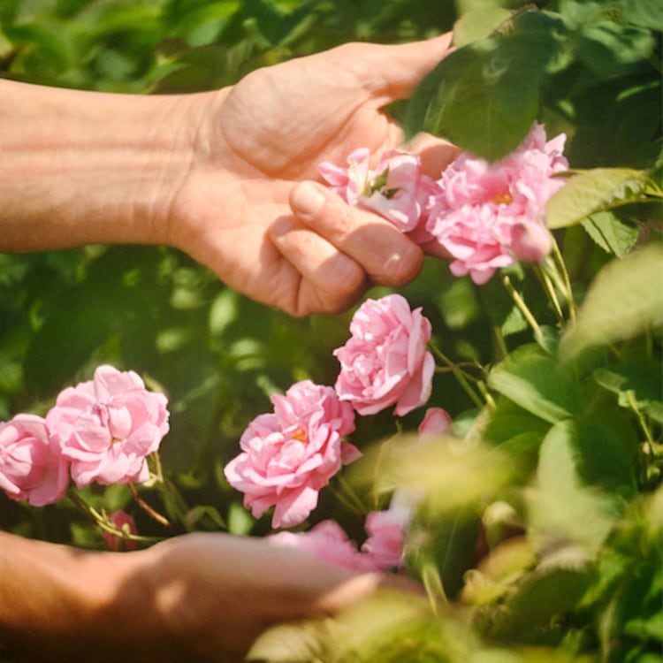 La Petite Robe Noire Le Flacon Coeur - Eau de Toilette