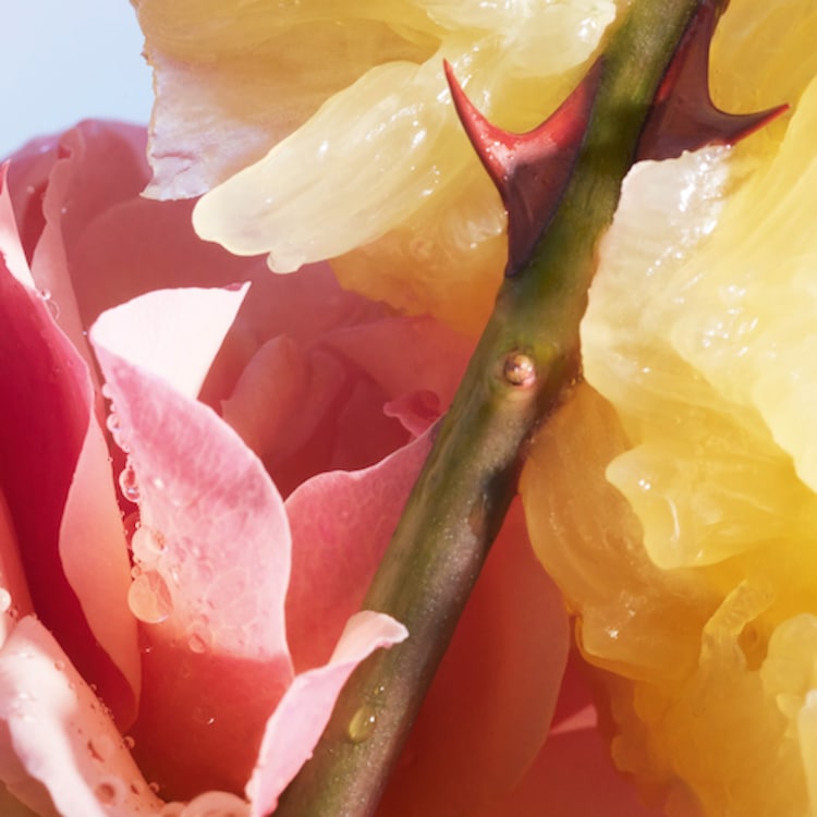 La Petite Robe Noire Le Flacon Coeur - Eau de Toilette