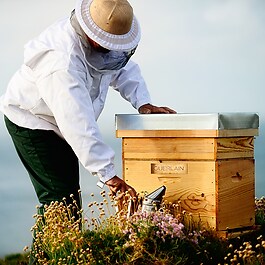 Abeille Royale Black Bee Honey Balm