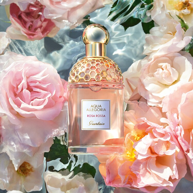 Aqua Allegoria Rosa Rossa - Eau de Toilette