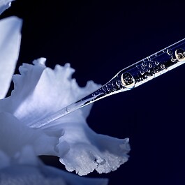 Orchidée Impériale The Longevity Concentrate