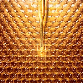 Abeille Royale Rich Day Cream