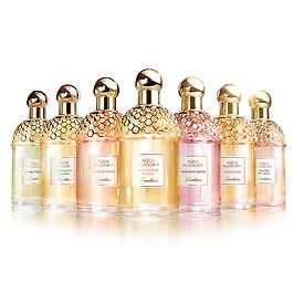 Aqua allegoria ginger