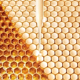 Abeille Royale Fortifying Lotion - Stärkende Gesichtslotion