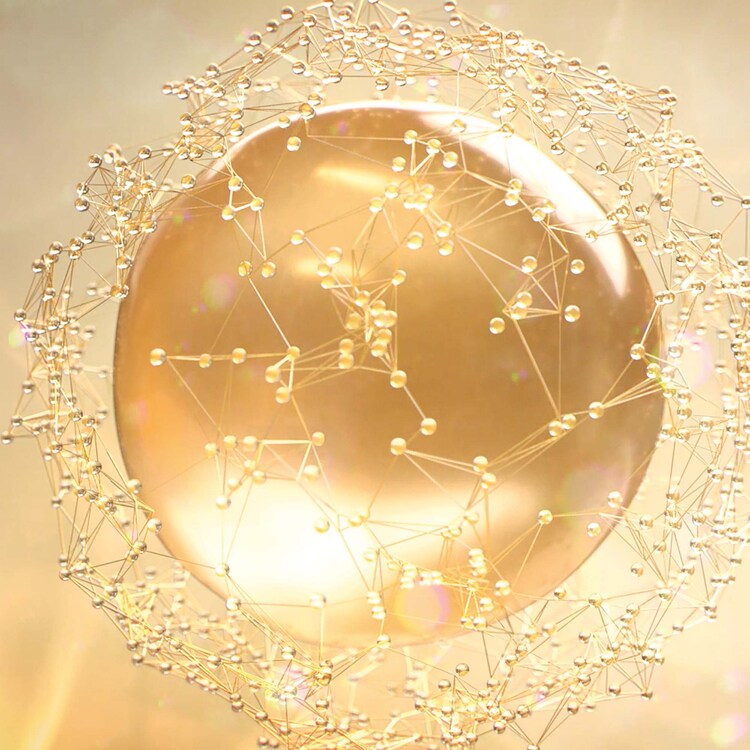 Abeille Royale - Fortifying Lotion