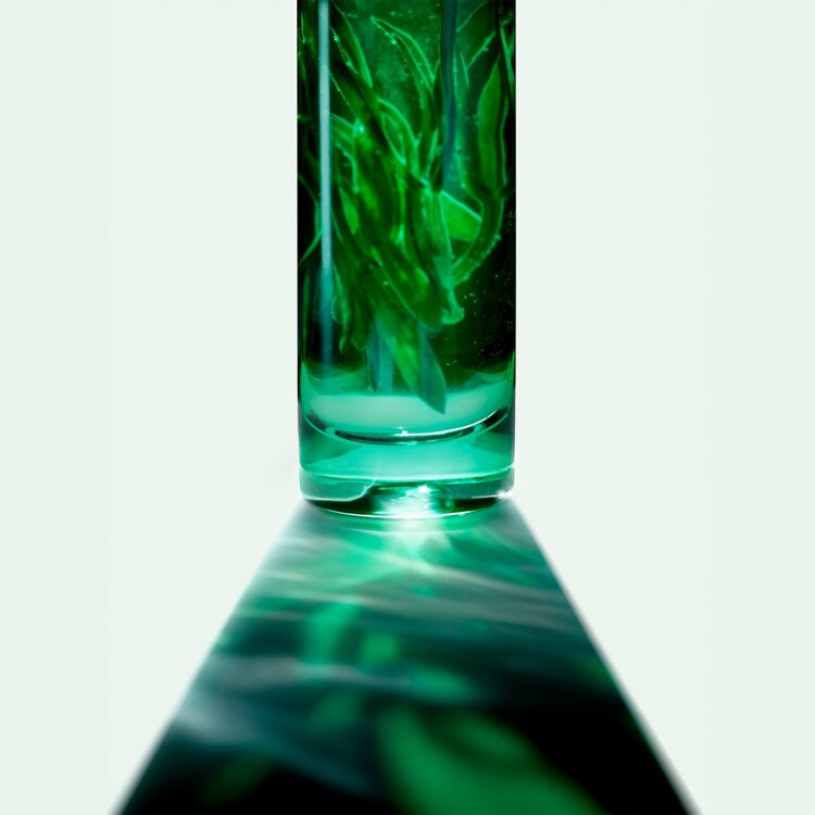 The product image is missing!