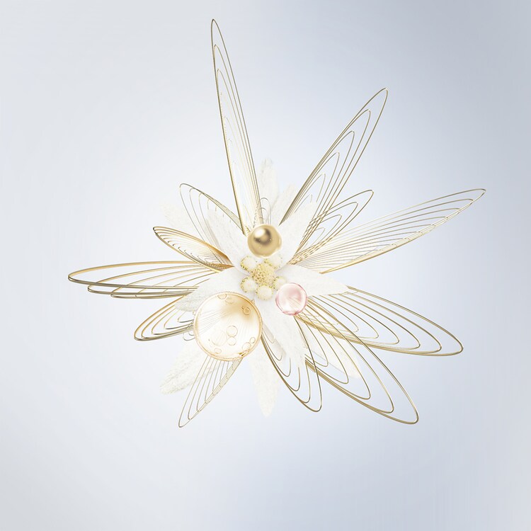 The product image is missing!