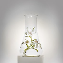 Prodigy Cellglow The Deep Renewing Concentrate - Siero Anti-Età Illuminante